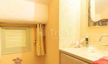 Imagem 5: Bosque dos Eucaliptos- Zona Sul de São José!