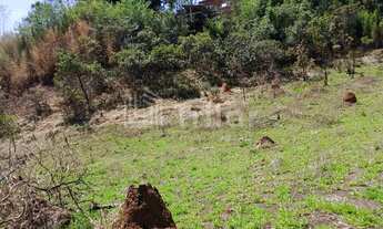 Imagem: Grande área com muitas possibilidades