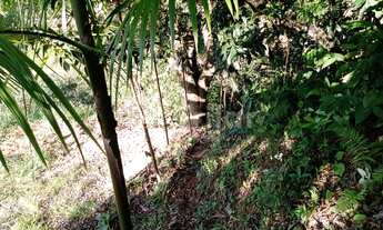 Imagem 4: 24.000M² a 30 min. do Centro 4/4 venha Ver!