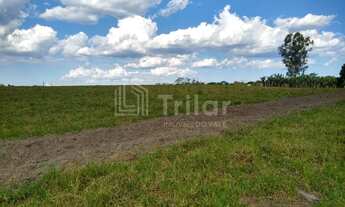 Imagem: Excelente área as margens da Rodovia Presidente