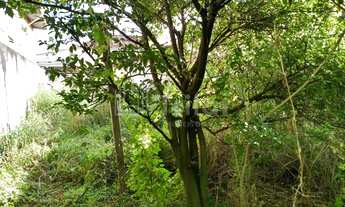 Imagem 4: Imóvel no Certo de Jacareí!!