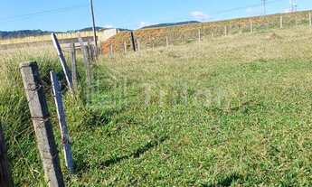 Imagem 4: OPORTUNIDADE VENDA - EXCELENTE ÁREA RESIDENCIAL/COMERCIAL BAIRRO BOM RETIRO