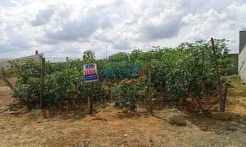 Imagem: Terreno plano em bairro a venda no Jardim