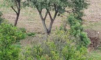 Imagem 2: Terreno à venda em Bragança Paulista-SP, bairro Campo Novo, com 9.260,00 m² de área