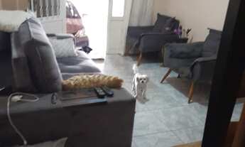 Imagem 5: Imperdível Casa Residencial no Vila Bernadete em Bragança Paulista-SP 3 quartos, 2 salas