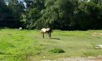 Imagem: Oportunidade Terreno plano de 1.000m²