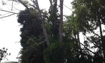 Imagem 6: Terreno de 12.100 m² à venda em Bragança Paulista-SP, no bairro Mãe dos Homens. Venha conf