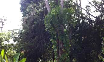 Imagem: Terreno de 12.100 m² à venda em Bragança