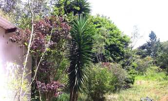 Imagem 7: Terreno de 12.100 m² à venda em Bragança Paulista-SP, no bairro Mãe dos Homens. Venha conf