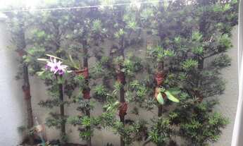 Imagem 5: Casa a Venda Bairro Parque Imperador - Condomínio Vila Amarilis - Imobiliária em Campinas