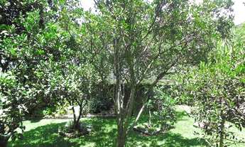 Imagem 6: CASA RESIDENCIAL em ATIBAIA - SP, PEDREIRA