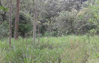 Imagem 2: TERRENO RESIDENCIAL em ATIBAIA - SP, BOSQUE DOS EUCALIPTOS