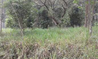 Imagem 3: TERRENO RESIDENCIAL em ATIBAIA - SP, BOSQUE DOS EUCALIPTOS