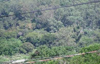 Imagem 6: CASA RURAL em PIRACAIA - SP, CANEDOS