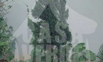 Imagem 2: Casa à venda - Bairro Jardim Regina em Indaiatuba/SP