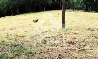 Imagem: Terreno à venda - Cardeal - Elias Fausto/SP