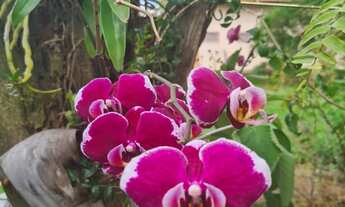 Imagem 6: BELÍSSIMA CHÁCARA TÉRREA NO ALVORADA INDAIATUBA -SP, BELÍSSIMA CHÁCARA TÉRREA NO ALVORADA