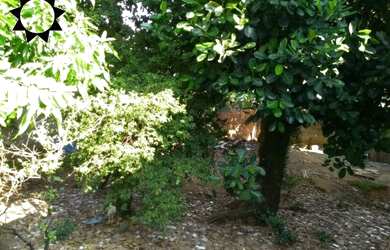 Imagem 2: TERRENO BARUERI, 400M² de Área Construída na Rua São Francisco