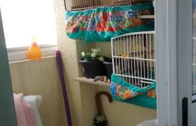 Imagem 4: APTO SÃO PEDRO Apartamento com 3 dormitórios