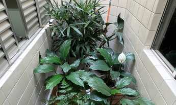 Imagem 3: SOBRADO BELA VISTA