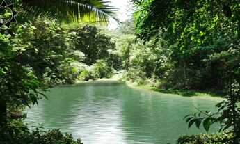 Imagem 4: QUINTA DOS LAGOS COTIA