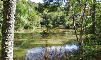 Imagem: SITIO - IBIUNA