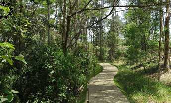 Imagem 7: QUINTA DOS LAGOS COTIA