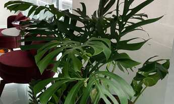 Imagem 6: APTO - ADALGISA Apartamento cobertura com 3 dormitórios