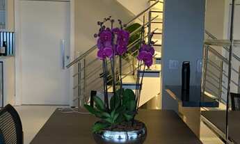 Imagem 2: APTO - ADALGISA Apartamento cobertura com 3 dormitórios