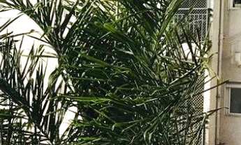 Imagem: APTO - CITY BUSSOCABA