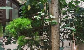 Imagem 3: SOBRADO - SANTA MARIA