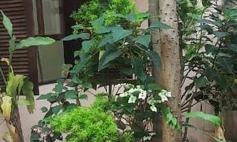 Imagem 5: SOBRADO - SANTA MARIA