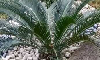 Imagem: APTO - SÃO PAULO