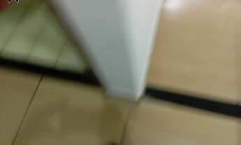 Imagem 3: SOBRADO - VILA YOLANDA