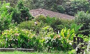 Imagem: SITIO - JUQUITIBA