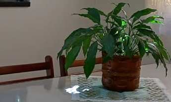 Imagem 6: SOBRADO - PESTANA