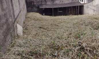 Imagem 6: TERRENO - ADALGISA