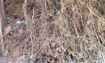 Imagem 7: TERRENO - ARAÇARIGUAMA