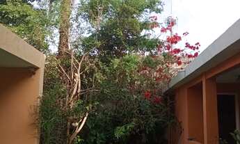 Imagem: CASA SÃO PAULO