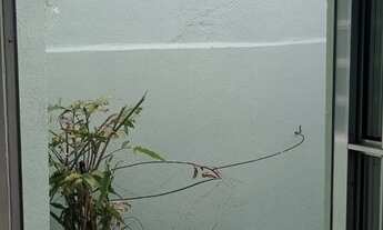 Imagem 5: CASA SÃO PAULO Casa com 2 dormitórios