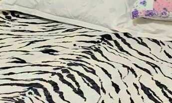 Imagem 6: CASA - BELA VISTA