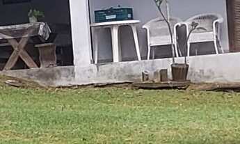 Imagem: CHÁCARA - COTIA