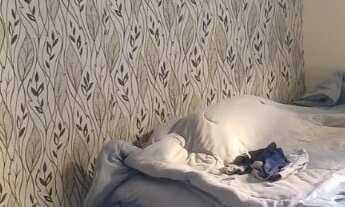 Imagem 7: CASA - METALURGICOS