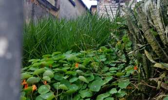 Imagem 3: TERRENO - JARDIM ROBERTO