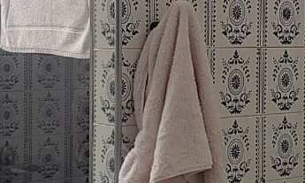 Imagem 7: CASA - PRESIDENTE ALTINO