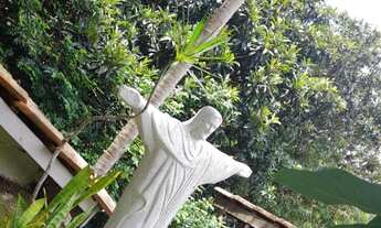 Imagem 4: CHÁCARA - IBIÚNA