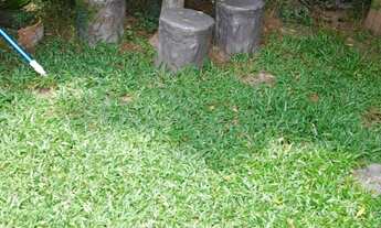 Imagem 3: CHÁCARA - IBIÚNA