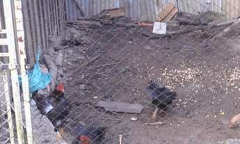 Imagem 2: CHÁCARA - IBIÚNA