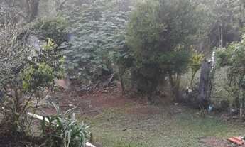 Imagem 7: CHÁCARA - IBIÚNA