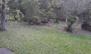 Imagem 5: CHÁCARA - IBIÚNA